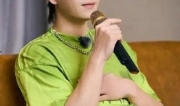 娱乐爆料王栎鑫视频大全,精彩瞬间回顾