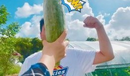 网红吃瓜的视频免费看,免费观看，揭秘娱乐圈幕后故事