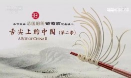 舌尖爆料如何制作视频讲解,揭秘视频讲解制作全过程